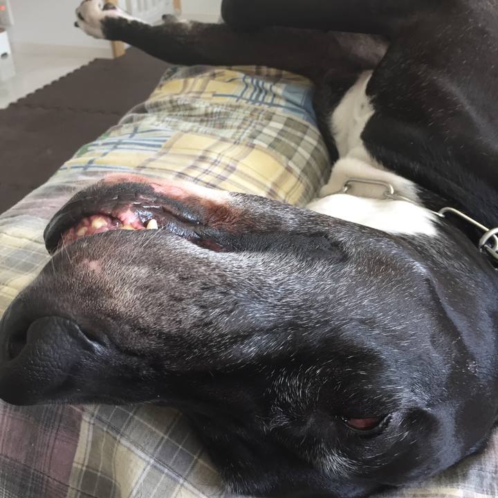 96b5d559 ab9e 4daa 9616 94fb5a186399