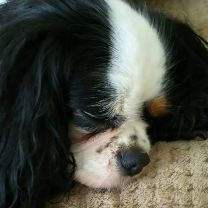 96b6a2bd 98a9 49a2 a7c6 a427f924be9e