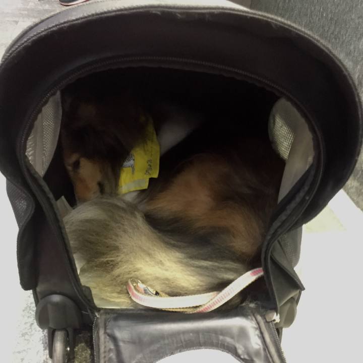 96b6c13d be27 4569 9a69 89d2d3786c25