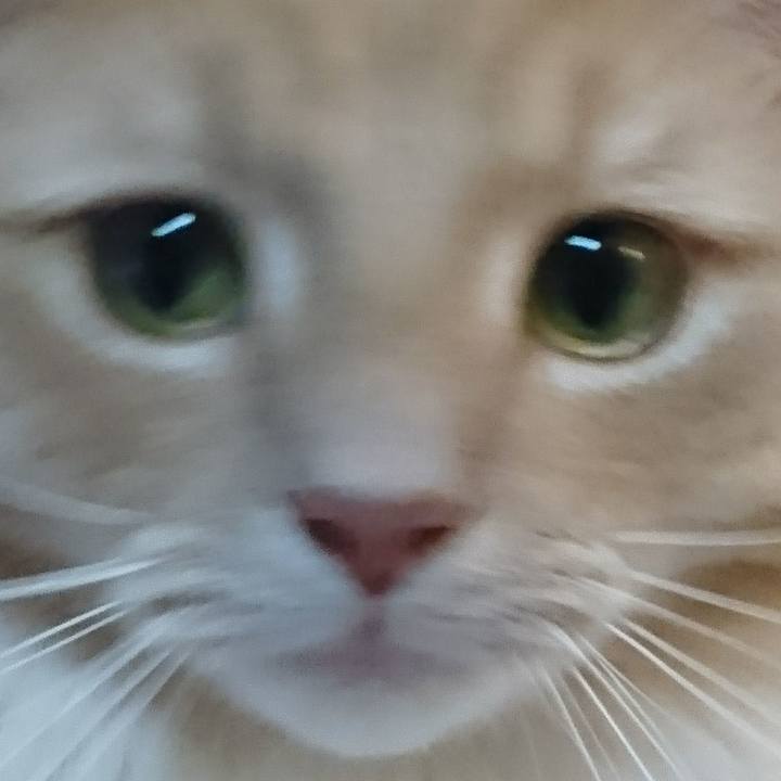 96b6c249 dbd7 42cd afc1 4a3f2acc0181