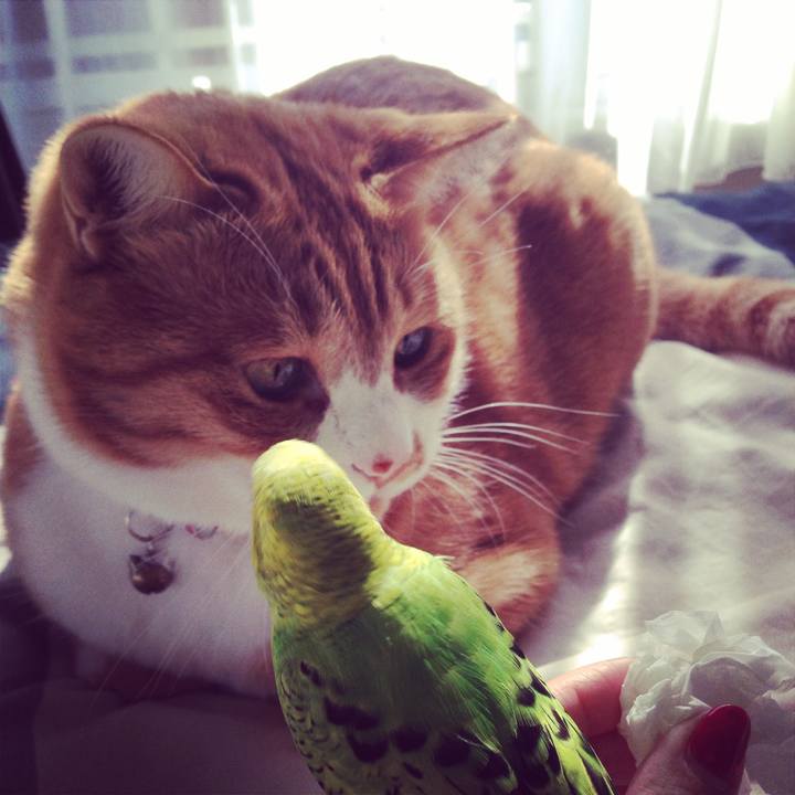 96b6ca82 1071 4dea 8f5c c05ed92bd0f3