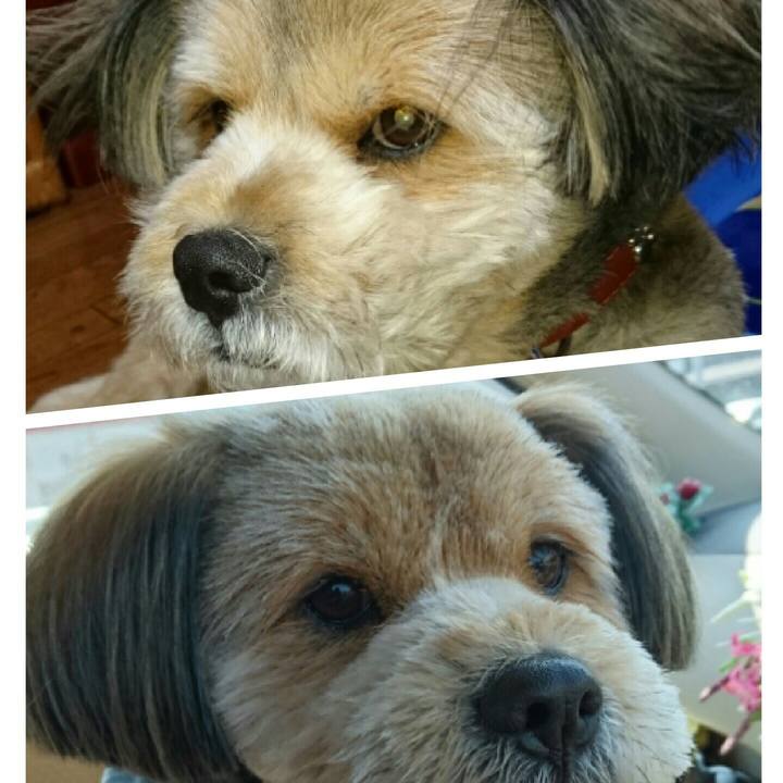 96b7245f ab9a 49a4 9ea5 cbc977b63b83