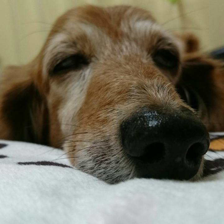 96b89cc5 070d 4ef2 ad2c ca4916926a12