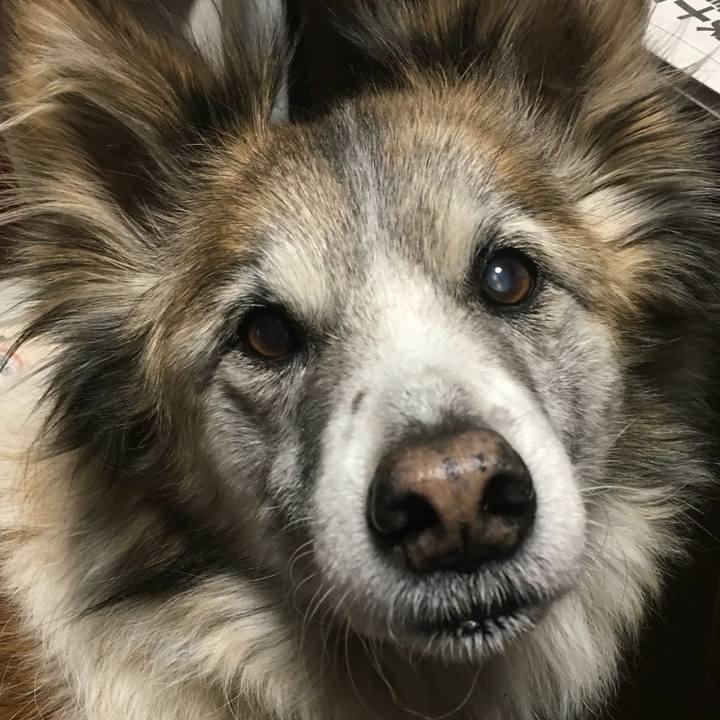 96b8a62f 2e73 4a43 abae 9e6abf2296f8