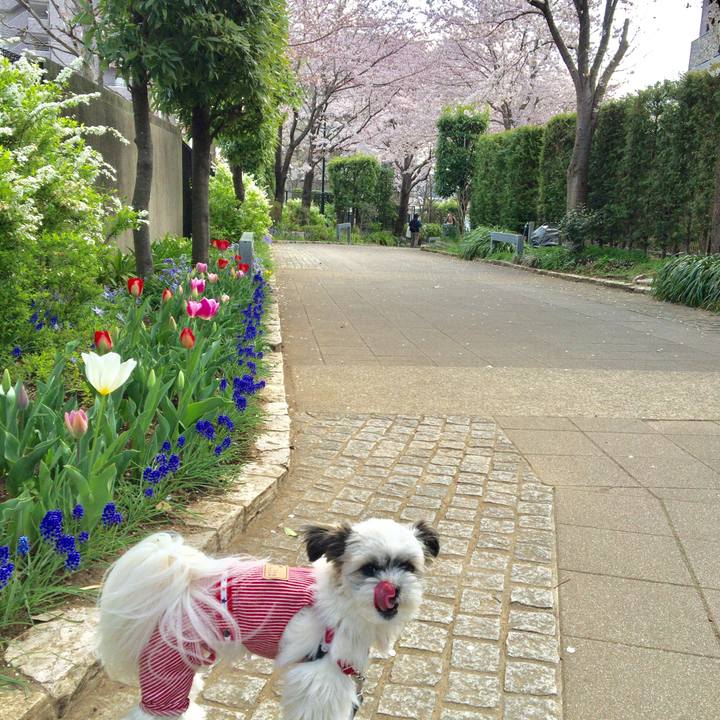 96b8b61a 66c4 40a0 8ace 4b553d5a8796