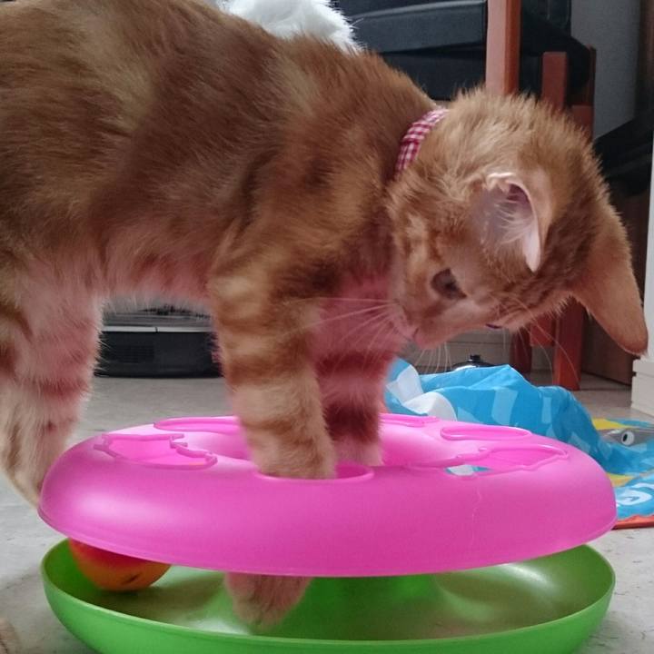 96b91477 f180 4019 9479 f8820c796913