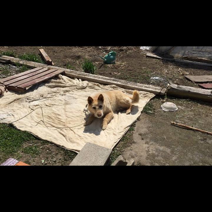 96b9faaf 46a1 4027 a560 9021a9029e5b