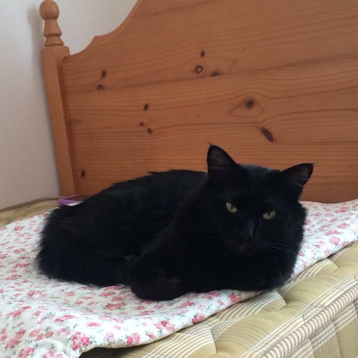 96ba1a6f 23a9 42b7 8bda 957d44c51df5