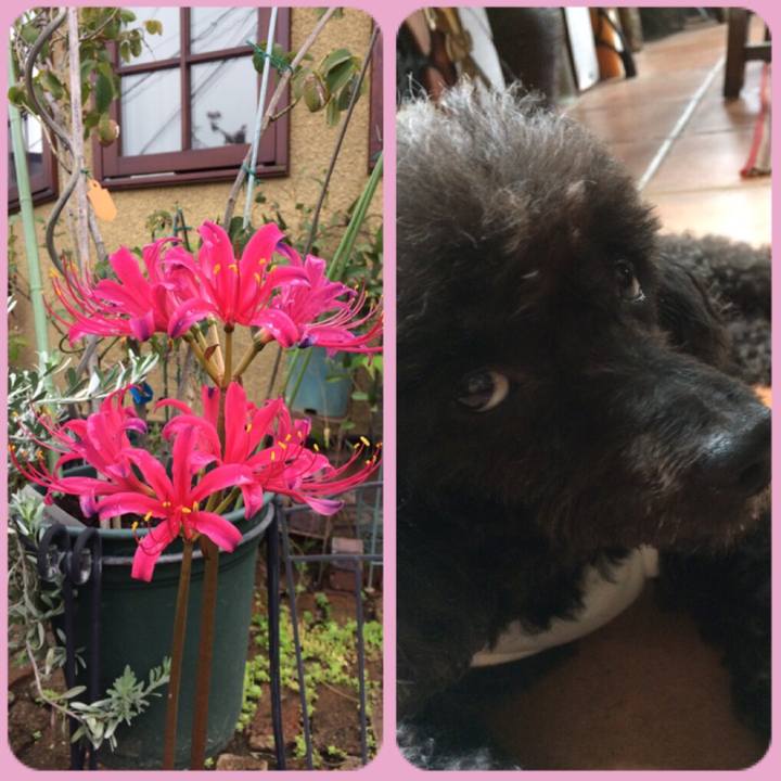 96ba493a 0d88 488b 901d da5e3994ccaa