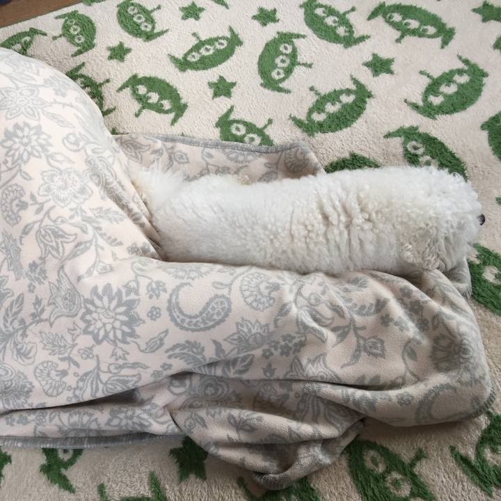 96ba680d ca5d 456c a66a ec6a6da8a47f