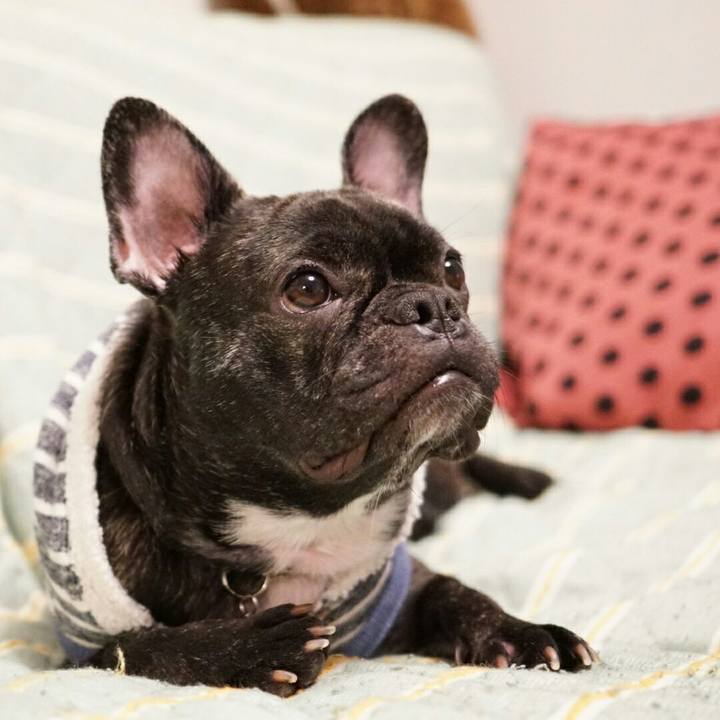 96ba72bc 0a37 4dd3 9bbb 604a217fe7af