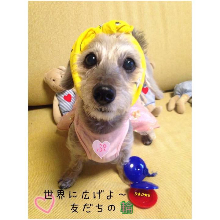 96bb22ca 18f8 4abb 823f d22941633ba5