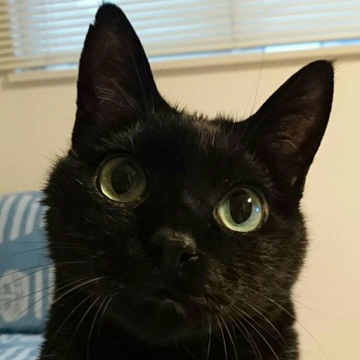 96bb622d 21c4 4482 b69a 0d3cd419abb2