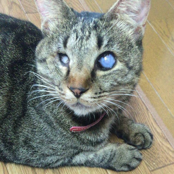 96bb986c e8f1 4db4 a8a2 48bd8309ce35