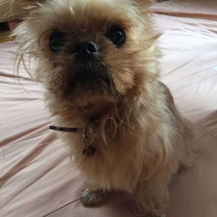 96bbea76 f88d 4860 9e67 8a1d8e426cbe