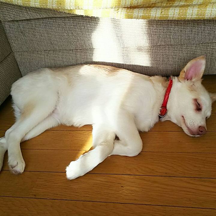 96bc04c3 ef56 4e28 9af0 611c1ebfd759