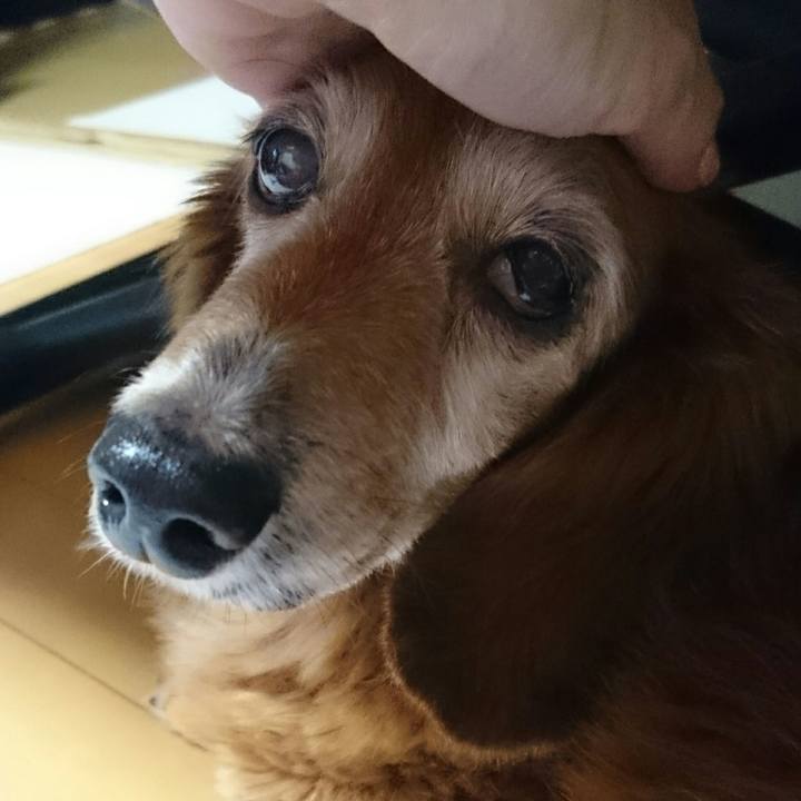 96bc0d30 b969 456a 85b2 90f65eddc444