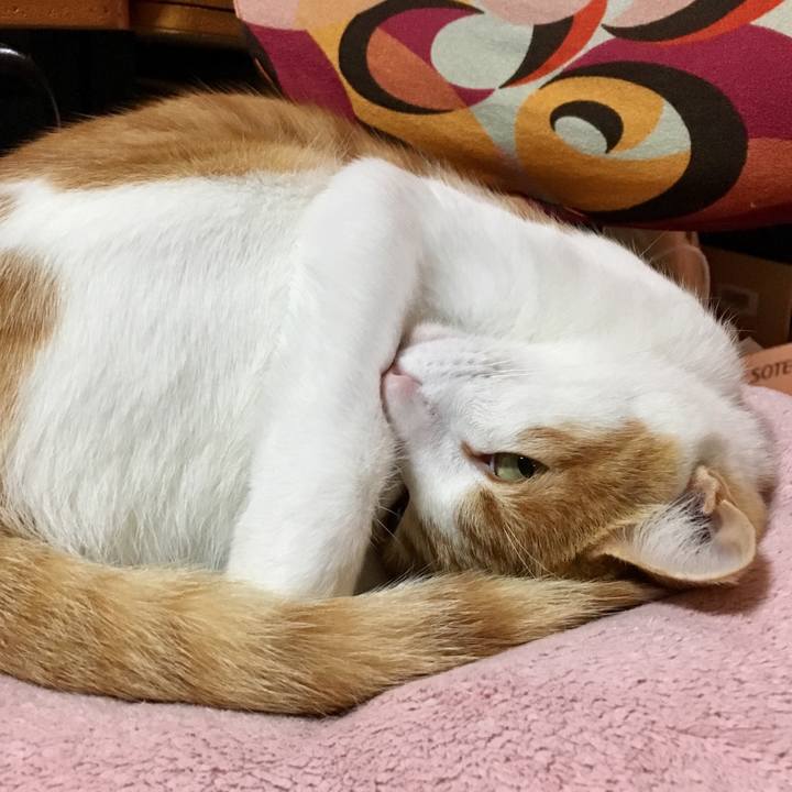 96bd0267 191e 4fb0 9d1c 8e21599c078e