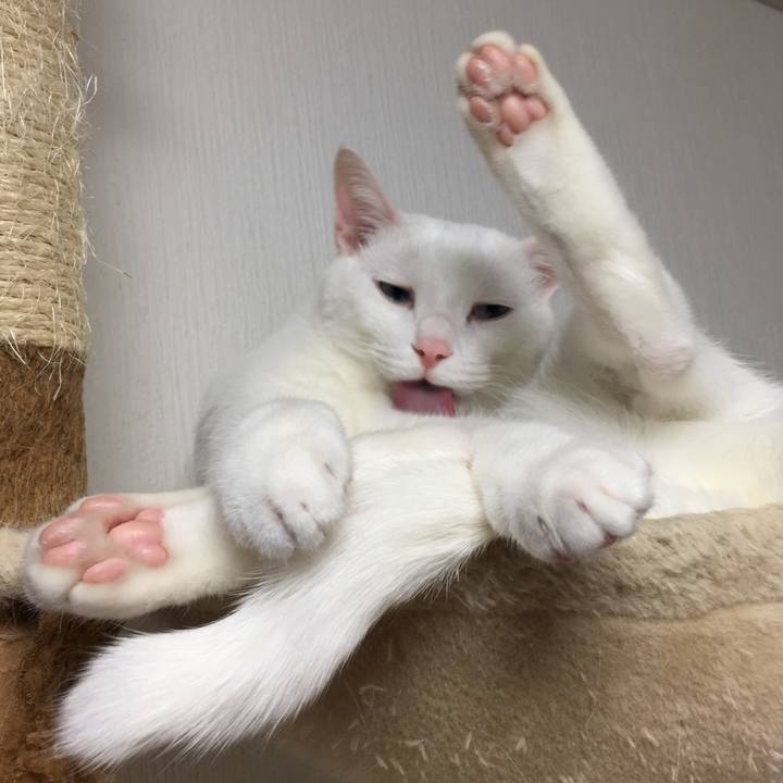 96bd0eb3 199a 4f13 b42d 4dc67b570d3a