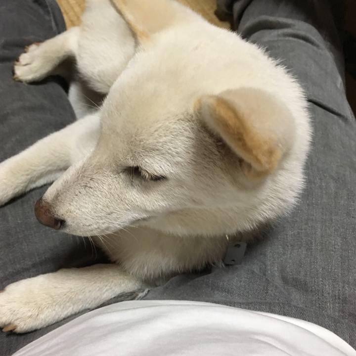 96be527f 319e 4e4f a73f 592b34e42e8a