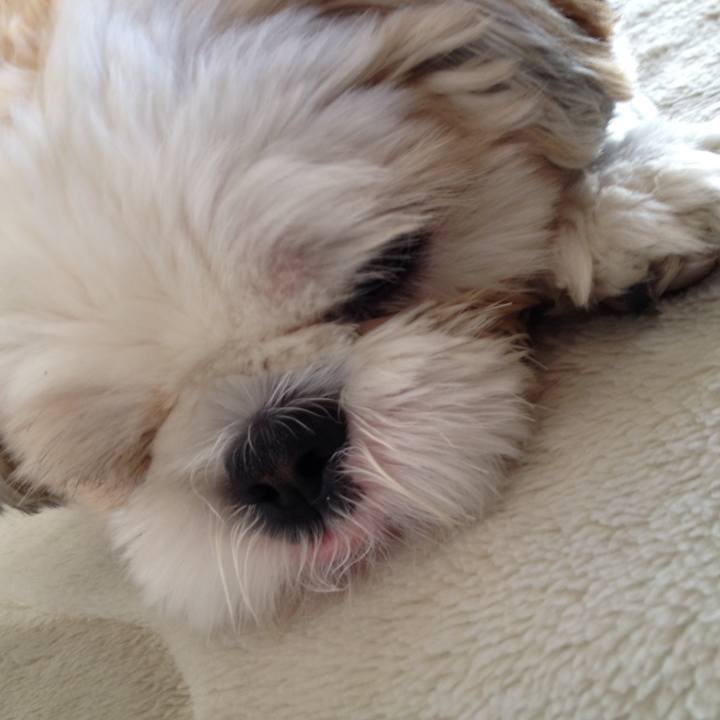 96be70ef 7e30 428d 9832 52c2455e49f7