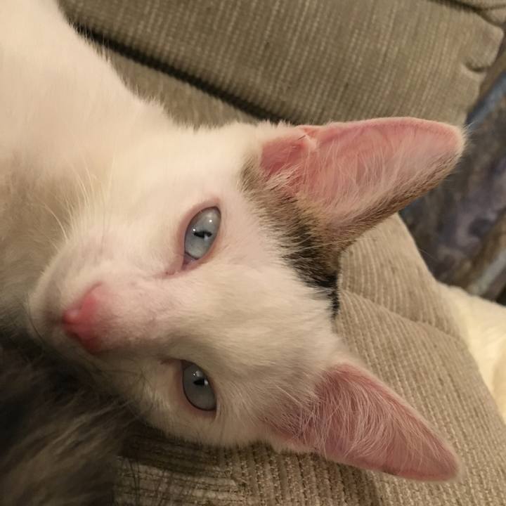 96bebf7b 23e6 4b4e a103 d740e6466f05