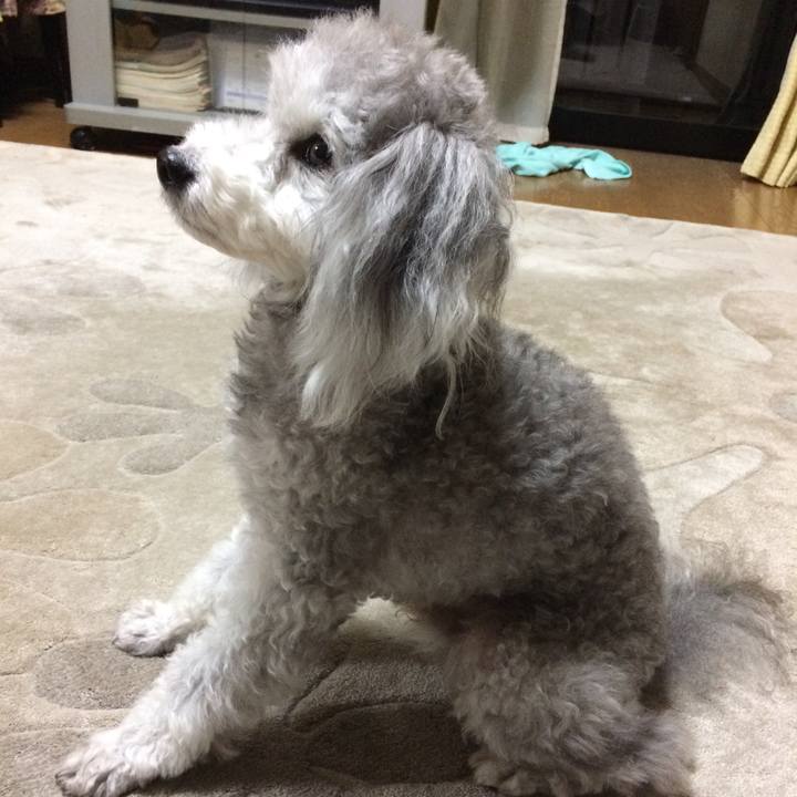 96bed1da 33cf 4c99 ab33 b050f2624e77