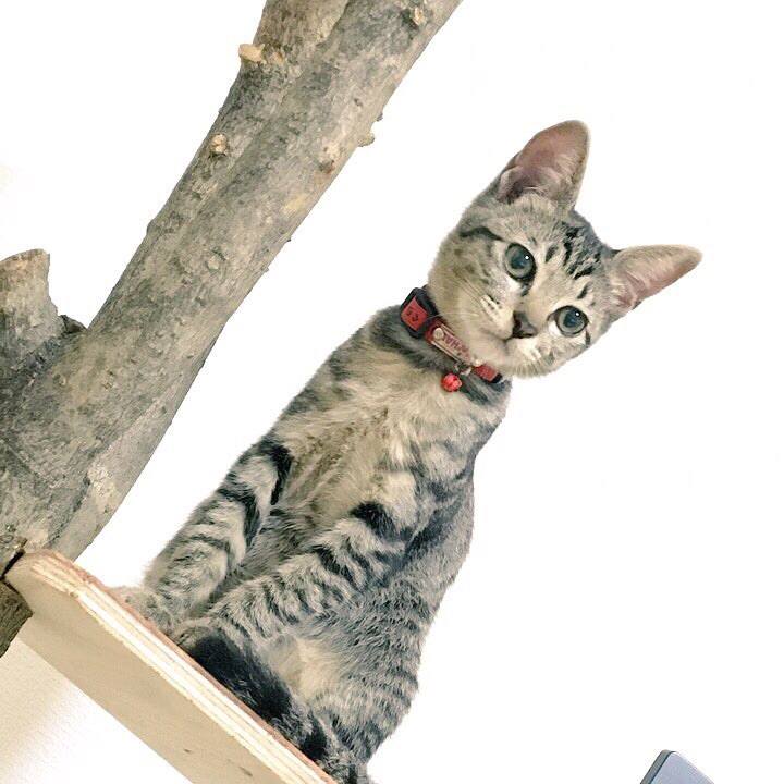 96bee9aa a2d4 4f81 b8e9 98e69c55aef6