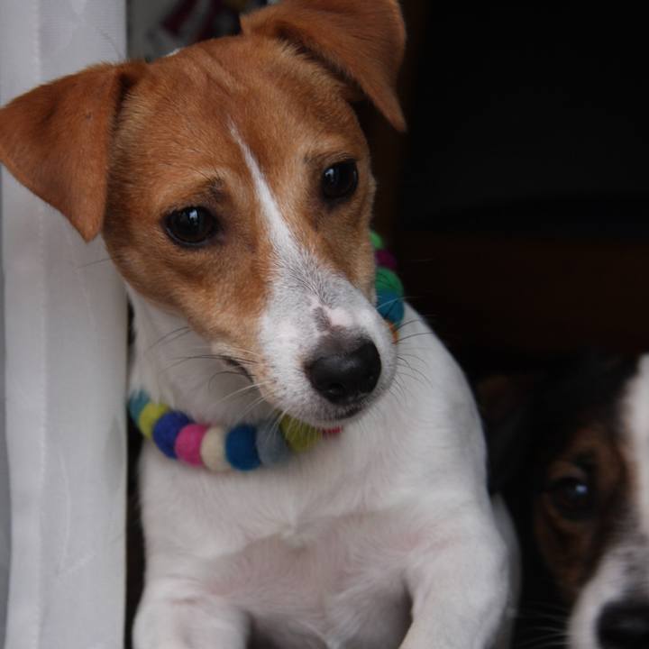 96bf534c 0d1b 47be 9891 3f35db74b04c