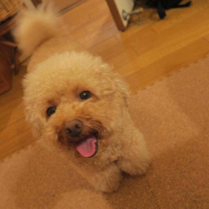 96bf9173 f8a4 42dc 8e67 d06355c6464f