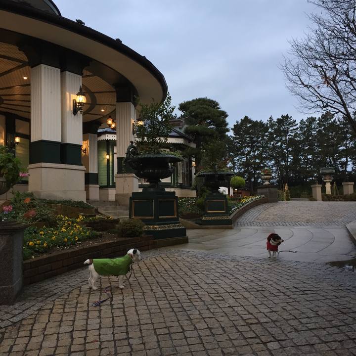 96bfd6e5 bb5a 4b44 82e9 e8d51a198751