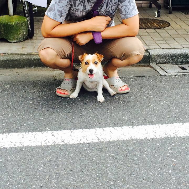 96c19874 fc00 4f93 b596 f15741d9b590