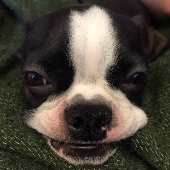 96c1cac6 3968 46be b2f8 c393d07534f5