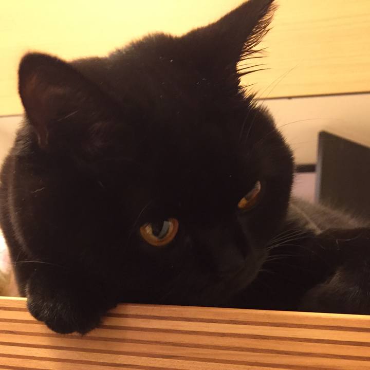 96c21d45 ac51 455a be4f 256fda767ca1