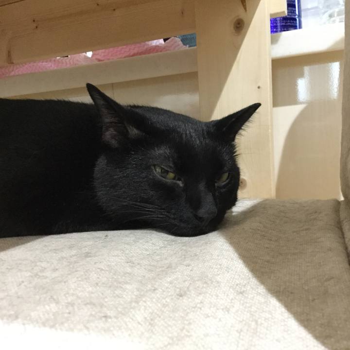 96c226e3 a600 4ff0 97e1 87e0c756c4d2