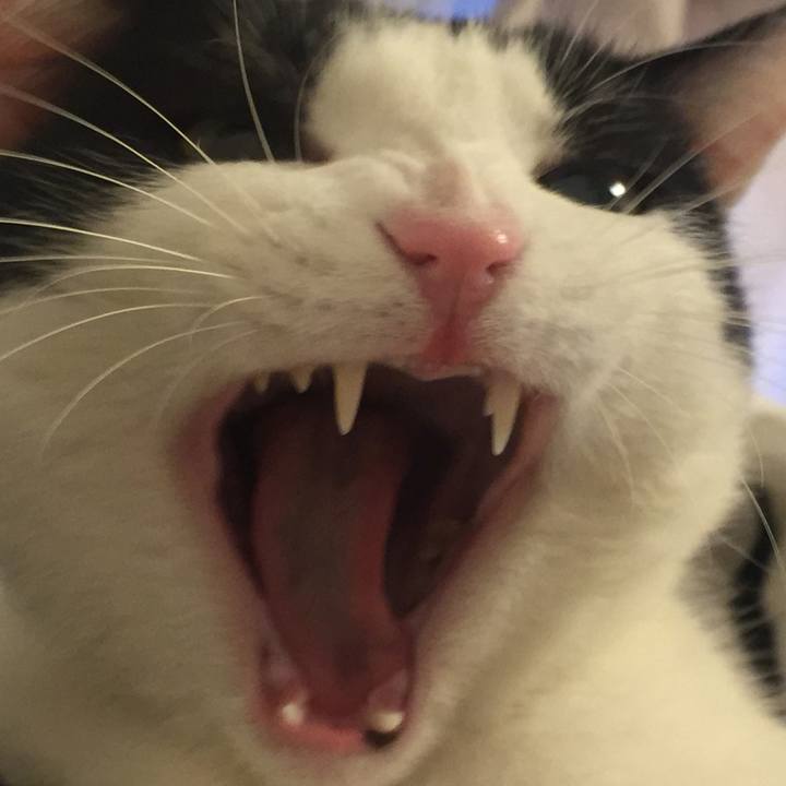 96c256b6 5651 4770 a927 a5dbd00441ab