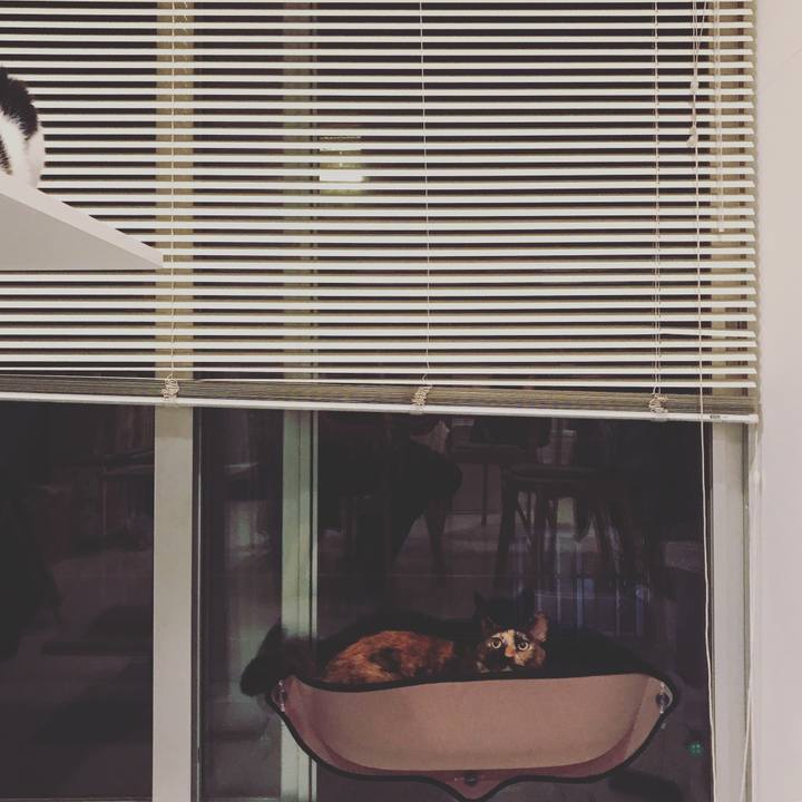 96c25ab2 ad83 4397 9d51 41116f91ce2b