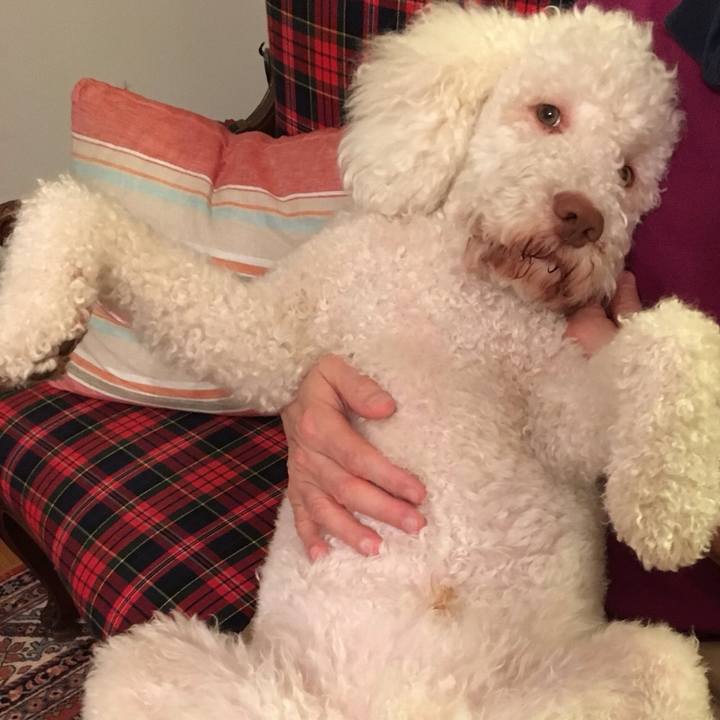 96c2a4de 4424 48c2 a8b5 b8836a8ebb5d