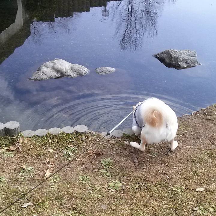 96c2f8b1 8fbc 4939 8ffe 96b8d3c6c127