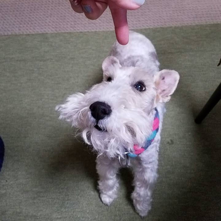 96c31f27 850c 4dcf be68 1dc8fdc8cf4d