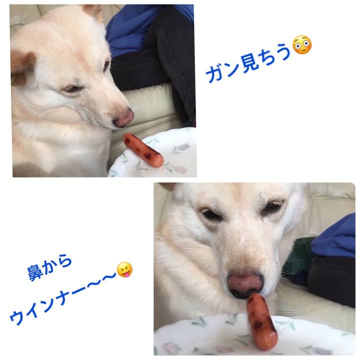 96c34bb7 b90c 409a bf4b 469bc3eb82f4