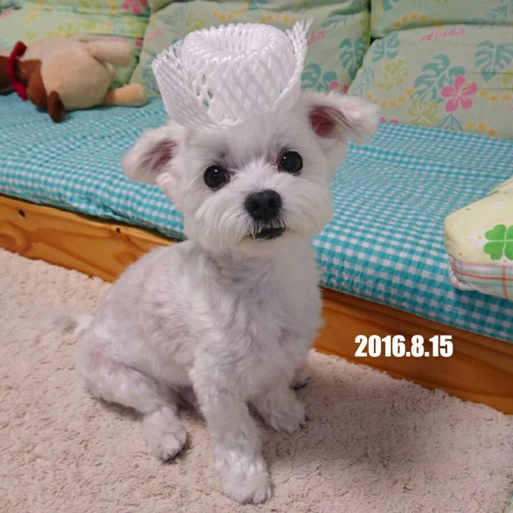 96c4298a 31ba 4748 882c 90a938dfc2db