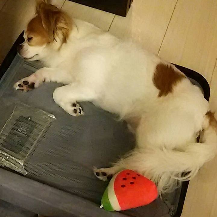 96c45b9b 2542 406c b631 af0b9be381db