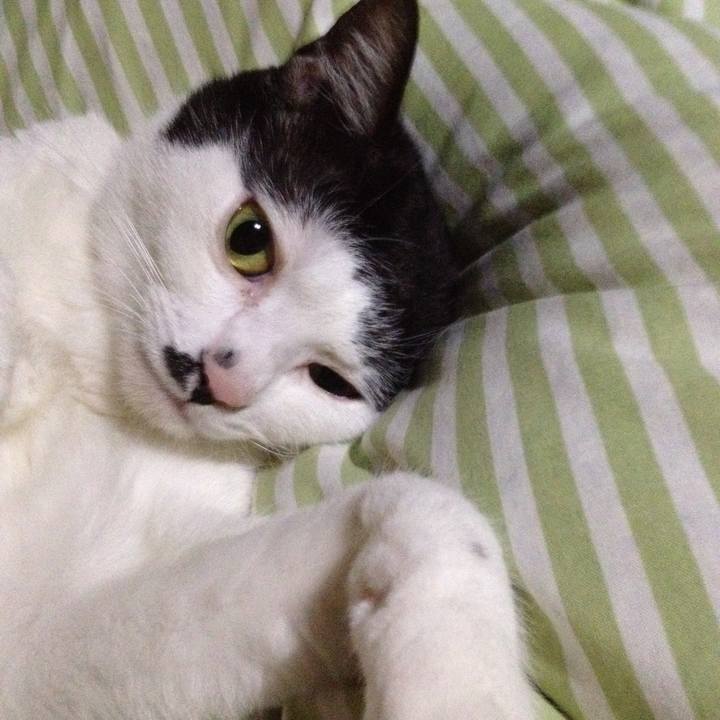 96c45ce6 e921 4069 8438 c76fe2134da1