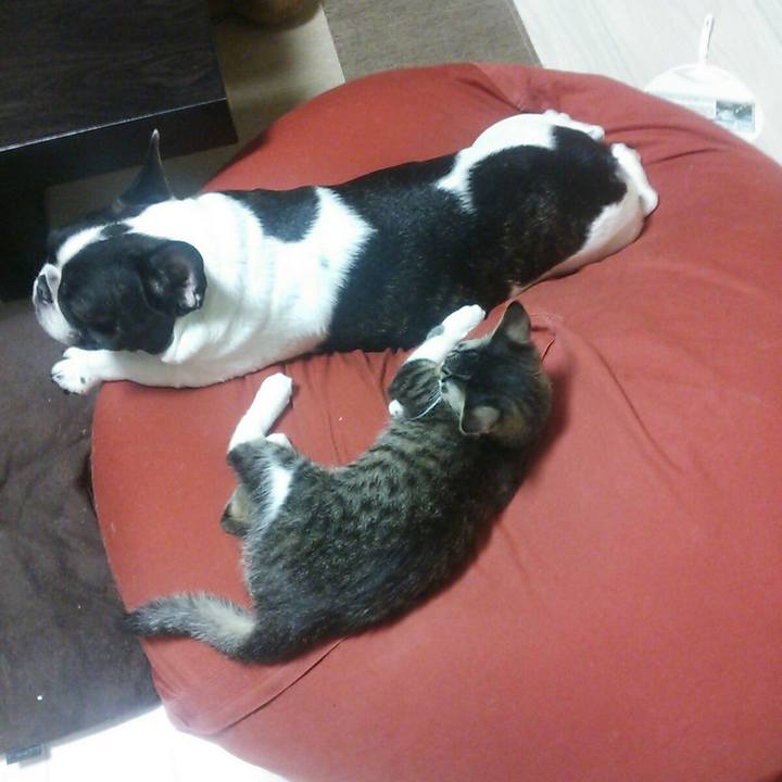 96c46442 6be7 4aa7 b7b2 92d17ec782e8