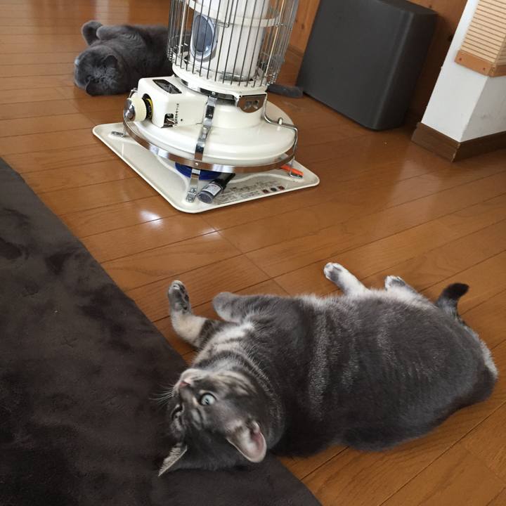 96c4afd2 987c 4267 b7da fe1c11ea1144