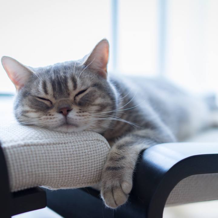 96c4e775 9772 4b4c b76e 80698167acf5