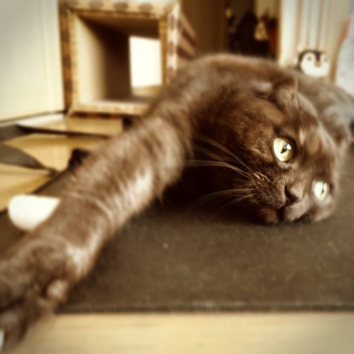 96c51879 5ca1 460f b52e cbd5433eab8f