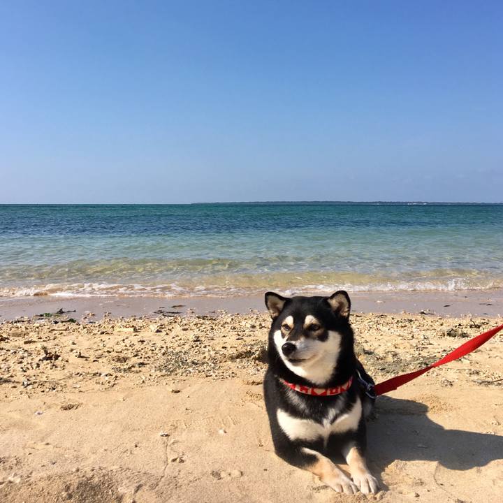 96c518a2 7029 4051 9dc6 ee84c0e20bb6