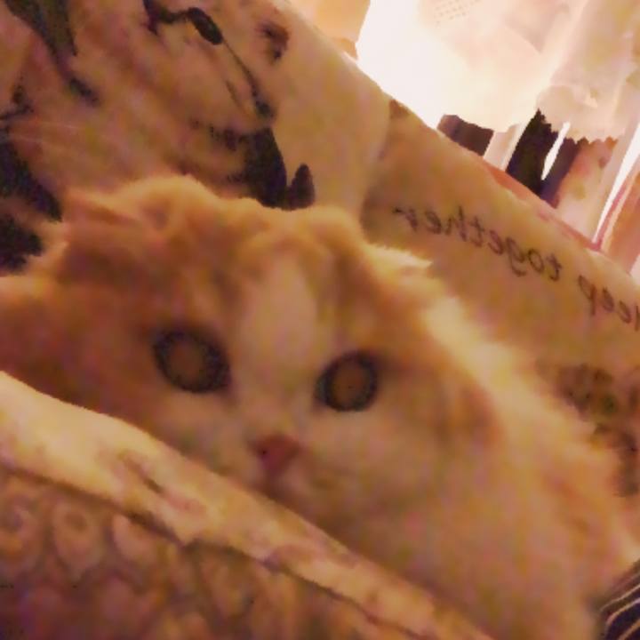 96c58e85 5cc5 4e98 8759 b7d64875955f